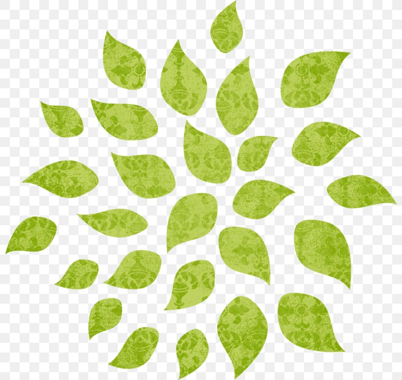 Image Clip Art Tree, PNG, 800x776px, Tree, Animation, European Blueberry, Green, Leaf Download Free