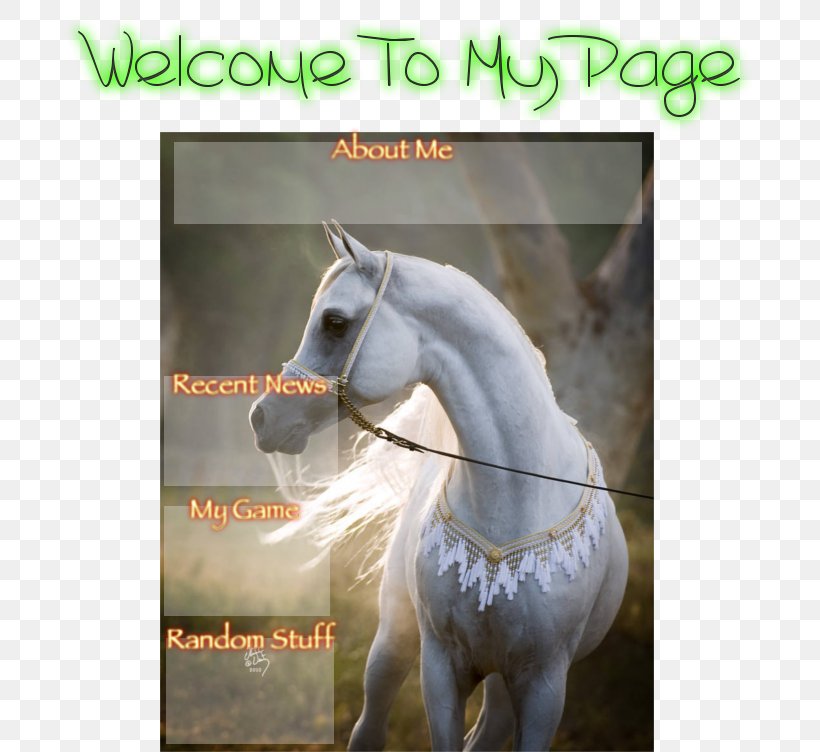 Stallion Arabian Horse Mustang Mare White, PNG, 699x752px, Stallion, Arabian Horse, Bridle, English Pleasure, Fauna Download Free
