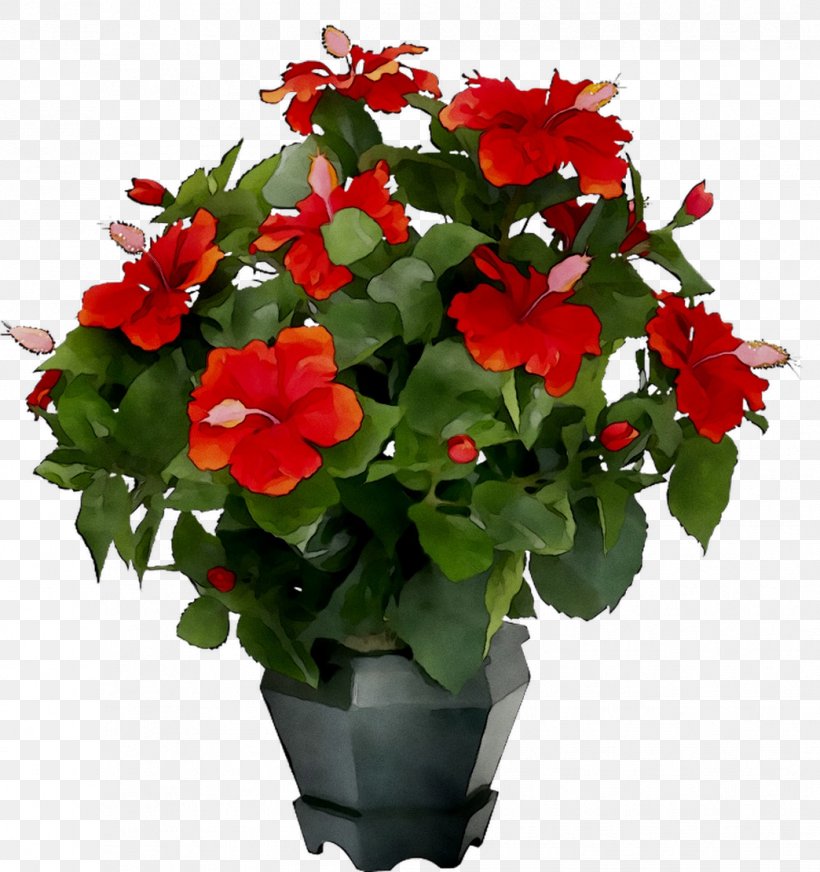 Houseplant Flower Bouquet Ornamental Plant Naberezhnye Chelny, PNG, 1044x1111px, Houseplant, Annual Plant, Anthurium, Begonia, Birthday Download Free