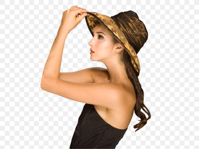 Preview Sun Hat Man Brown Hair, PNG, 500x615px, Preview, Brown Hair, Hair, Hair Accessory, Hair Coloring Download Free