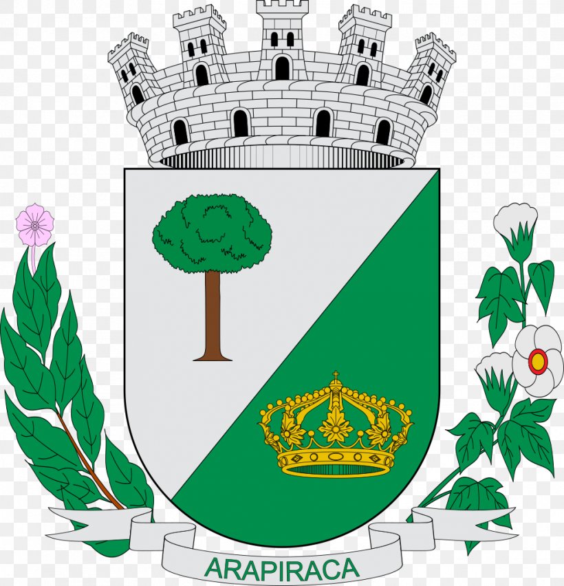 Bandeira De Arapiraca, PNG, 985x1024px, Arapiraca, Alagoas, Brand, Coat Of Arms, Grass Download Free