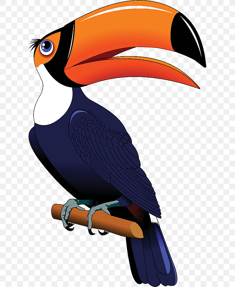 Bird Toucan Beak Hornbill Piciformes, PNG, 621x1000px, Bird, Beak, Hornbill, Piciformes, Toucan Download Free