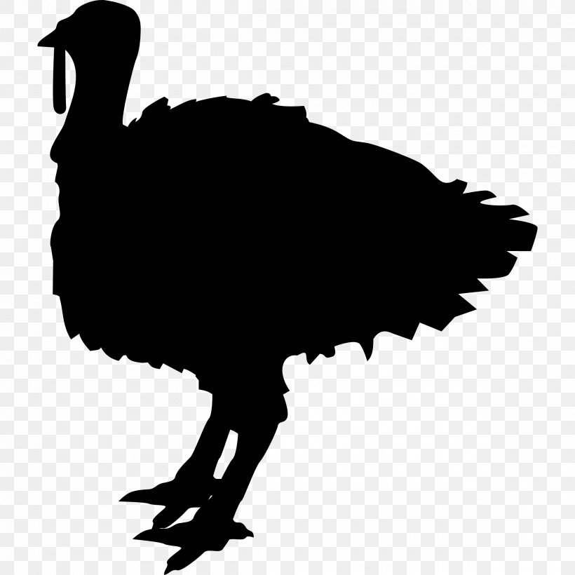 Black Turkey Jerky Turkey Meat Clip Art, PNG, 2400x2400px, Turkey, Beak, Bird, Black And White, Black Turkey Download Free