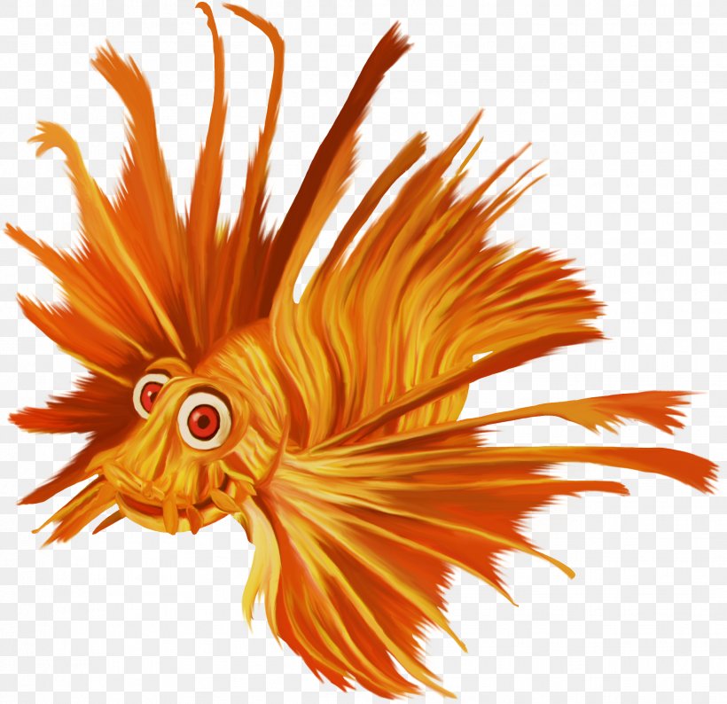 Fish Animal Clip Art, PNG, 2031x1967px, Fish, Animal, Deep Sea Creature, Flower, Orange Download Free