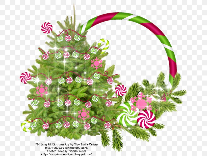 Floral Design Christmas Ornament Pine Leaf, PNG, 666x620px, Floral Design, Christmas, Christmas Decoration, Christmas Ornament, Family Download Free