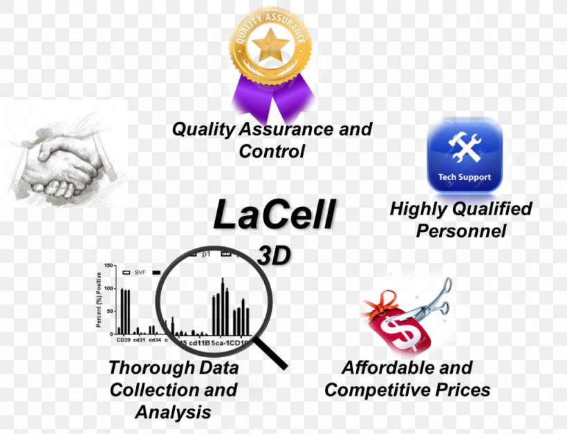 LaCell LLC Research Technology Stem Cell, PNG, 1024x784px, Research, Area, Brand, Business, Cell Download Free
