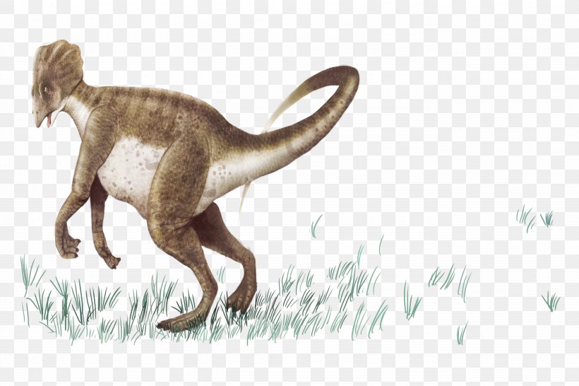 Prehistory Tyrannosaurus Dinosaur Euclidean Vector, PNG, 5315x3543px, Prehistory, Animal, Bizi Prehistoriko, Carnivoran, Cat Like Mammal Download Free