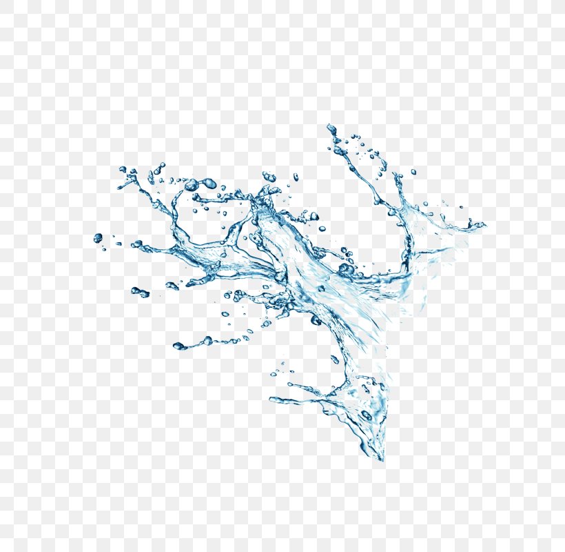 Water Download, PNG, 800x800px, Water, Blue, Branch, Designer, Drawing Download Free