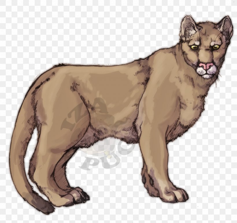 Cougar Lion Cat Felidae Leopard, PNG, 1280x1201px, Cougar, Big Cat, Big Cats, Carnivoran, Cat Download Free
