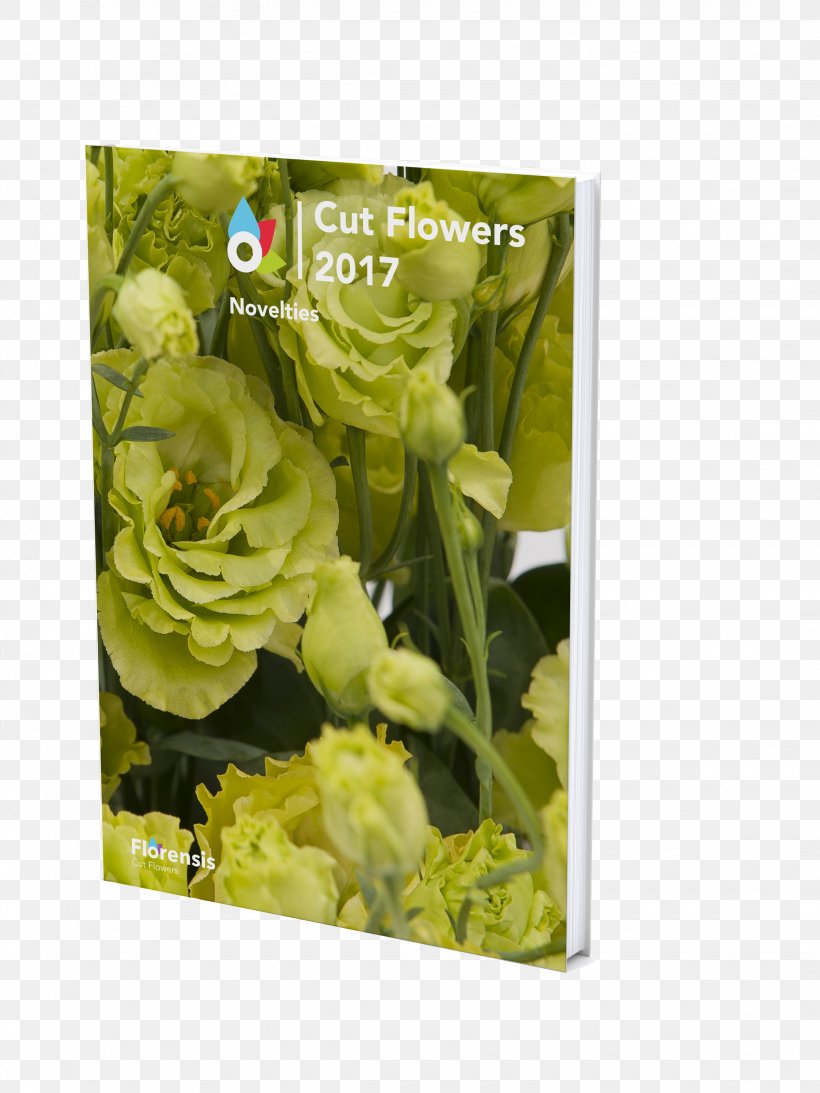 Floral Design Cut Flowers Petal, PNG, 2250x3000px, Floral Design, Cut Flowers, Floristry, Flower, Flower Arranging Download Free