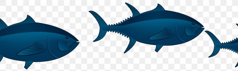 Requiem Sharks Marine Mammal Tuna Marine Biology Fish, PNG, 1000x300px, Requiem Sharks, Animal, Animal Figure, Biology, Blue Download Free