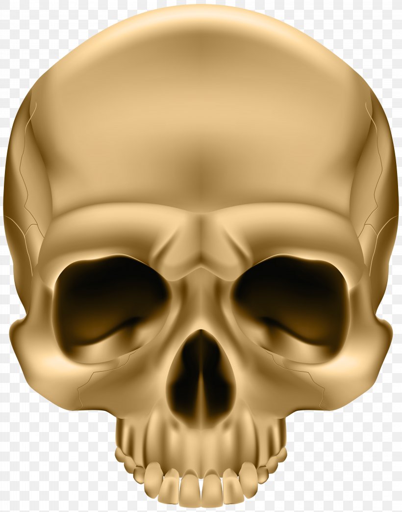 Skull And Crossbones Sticker Illustration, PNG, 6287x8000px, Skull, Bone, Ear, Face, Facial Skeleton Download Free