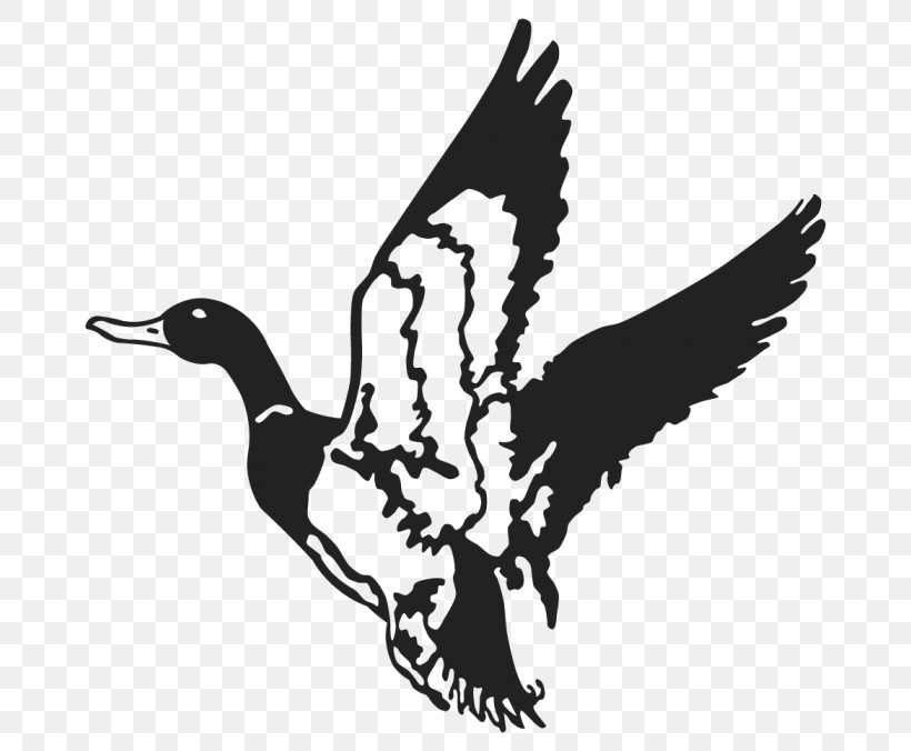 Bird Duck Water Bird Ducks, Geese And Swans Waterfowl, PNG, 700x676px, Bird, Beak, Duck, Ducks Geese And Swans, Goose Download Free