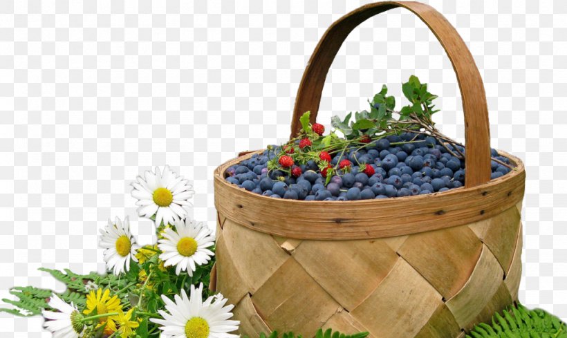 Blueberry Bog Bilberry Fruit, PNG, 1024x611px, Berry, Basket, Bilberry, Blueberry, Bog Bilberry Download Free