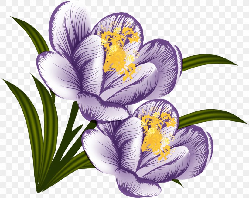 Crocus Clip Art, PNG, 1280x1022px, Crocus, Art, Fictional Character, Flower, Flowering Plant Download Free