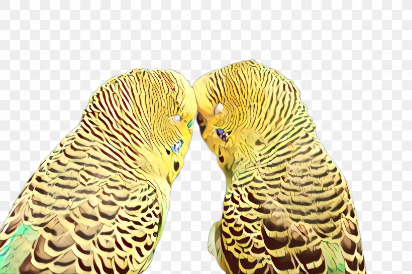 Lovebird, PNG, 2448x1632px, Cartoon, Beak, Bird, Budgie, Feather Download Free