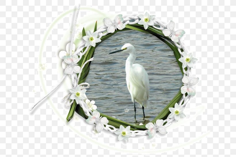 Stork Heron Beak, PNG, 640x548px, Stork, Beak, Bird, Ciconiiformes, Flower Download Free