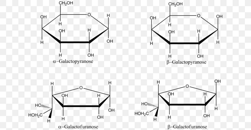 Galactose L-Glucose Haworth Projection Carbohydrate, PNG, 640x426px, Galactose, Altrose, Area, Atom, Black And White Download Free
