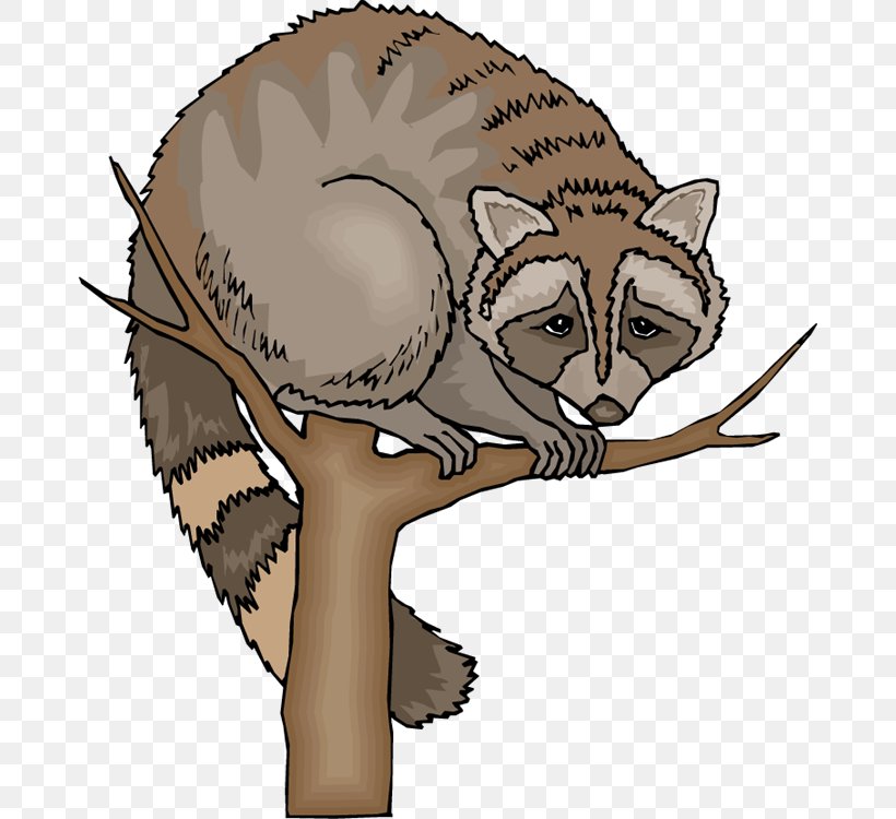 Raccoon Blog Clip Art, PNG, 676x750px, Raccoon, Blog, Carnivoran, Cartoon, Cat Download Free