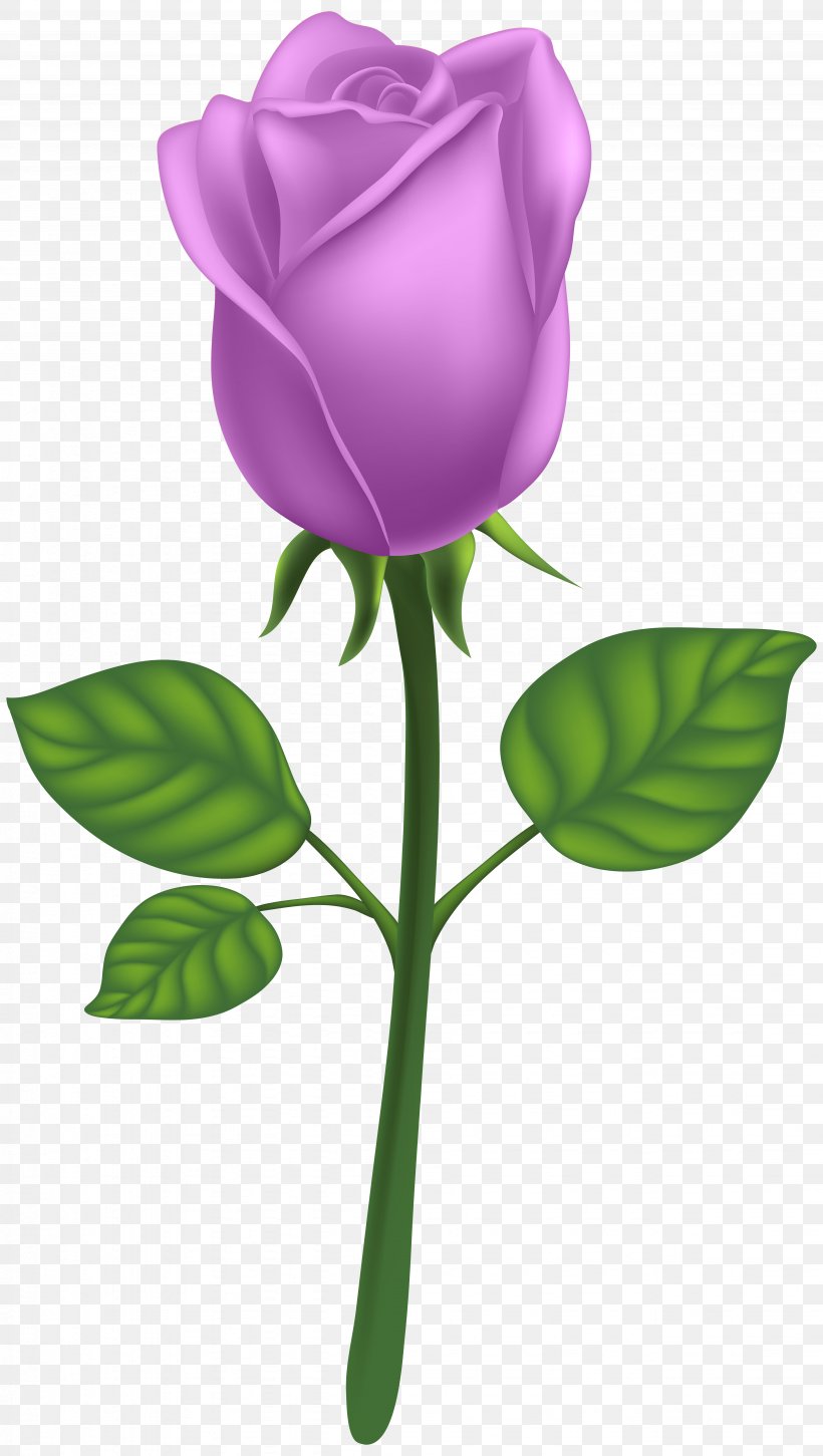 Raster Graphics Drawing, PNG, 4518x8000px, Rose, Art Deco, Bud, Clip Art, Flora Download Free