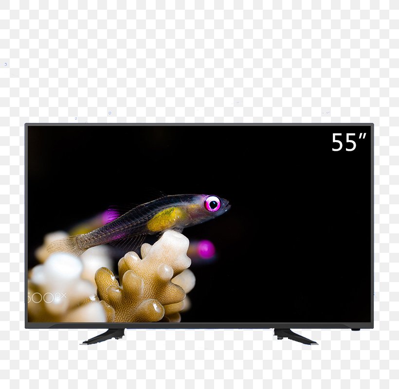 Television Liquid-crystal Display Display Device, PNG, 800x800px, Television, Advertising, Copyright, Display Device, Highdefinition Television Download Free