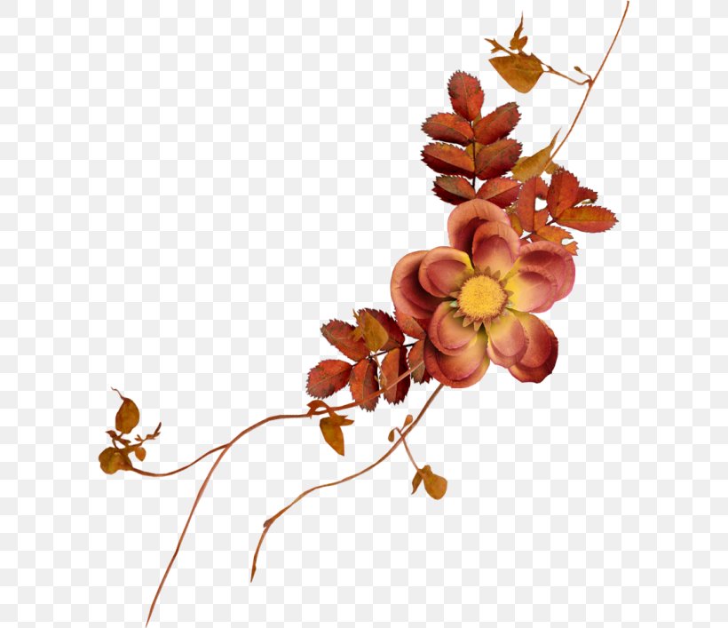 Twig Leaf Plant Stem Floral Design Petal, PNG, 600x707px, Twig, Advertising, Blog, Blossom, Branch Download Free