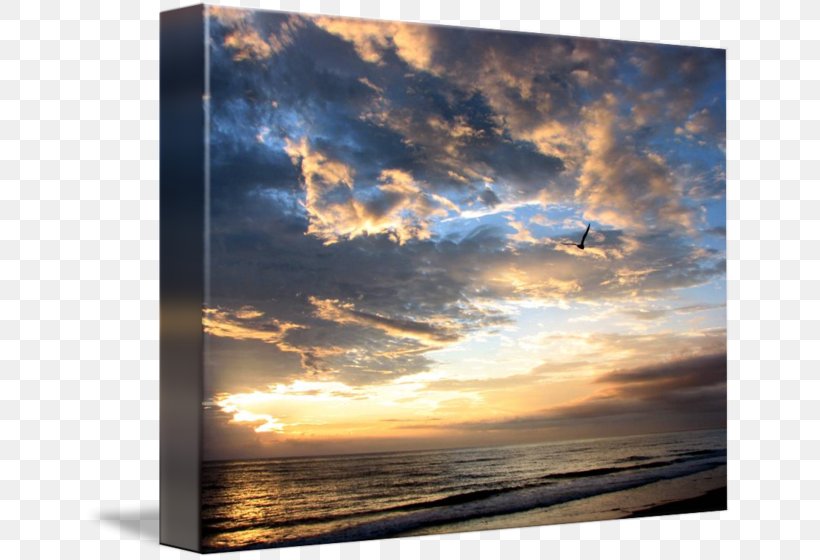 Beach Sea Picture Frames Imagekind Art, PNG, 650x560px, Beach, Art, Atmosphere, Blessing, Calm Download Free