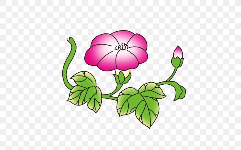 Flower Adobe Illustrator Ipomoea Nil Information, PNG, 512x512px, Flower, Beach Rose, Bud, Flora, Floral Design Download Free