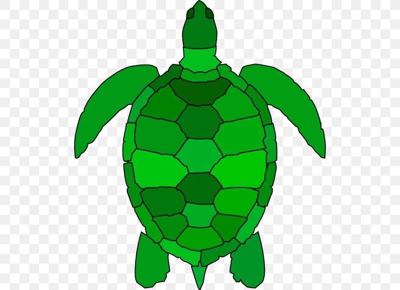 Green Sea Turtle Reptile Clip Art, PNG, 516x594px, Turtle, Cuteness, Fictional Character, Free Content, Green Download Free