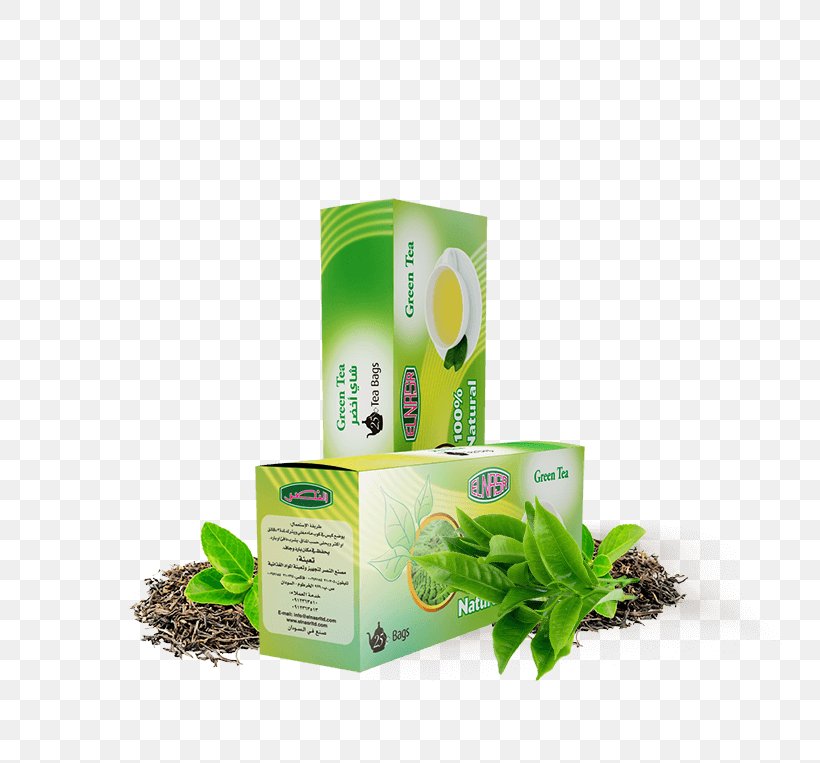 Green Tea Tea Bag Herb, PNG, 750x763px, Tea, Bag, Culture, Green Tea, Herb Download Free