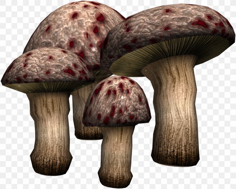 Mushroom Fungus Clip Art, PNG, 1083x869px, Mushroom, Agaricus, Art, Deviantart, Food Download Free