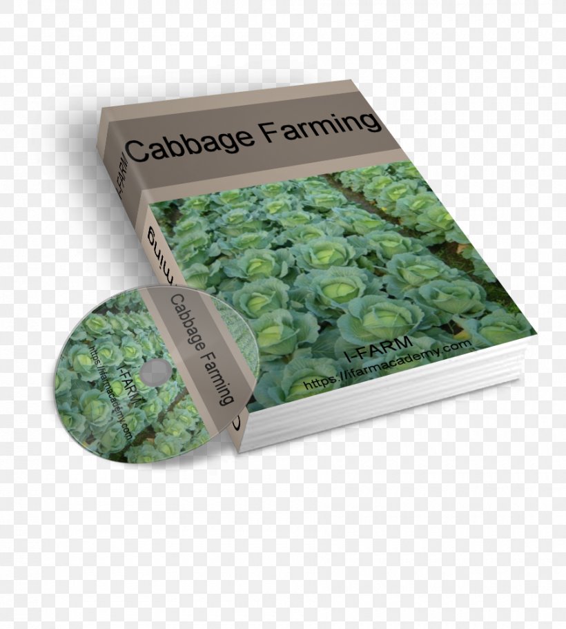 Nursery Farm Agriculture Transplanting Management, PNG, 900x1000px, Nursery, Agriculture, Cabbage, Capsicum, Crop Download Free