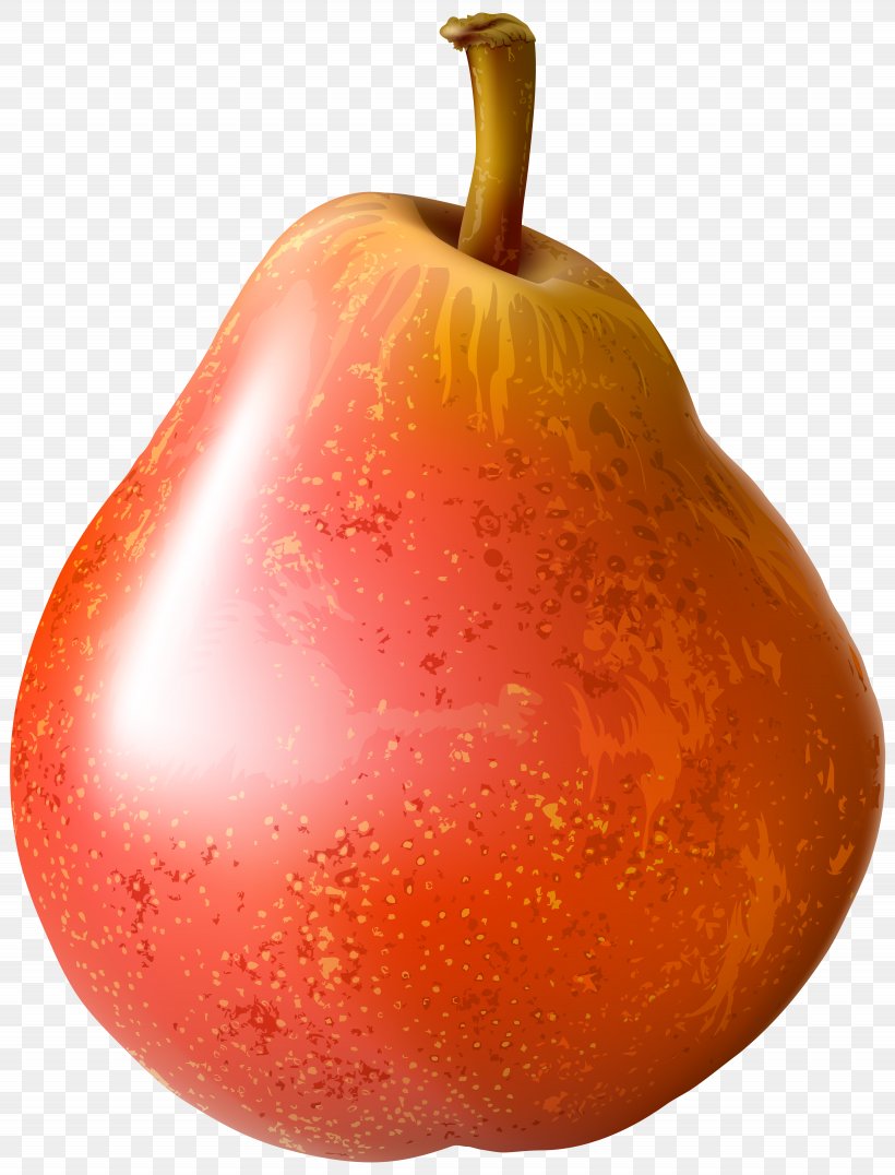 Pear Cartoon, PNG, 5330x7000px, Asian Pear, Accessory Fruit, Apple, Auglis, Food Download Free