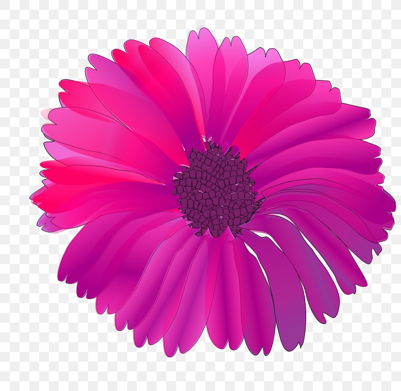 Pink Flowers Purple Clip Art, PNG, 800x800px, Flower, Chrysanths, Copyright, Cut Flowers, Daisy Family Download Free