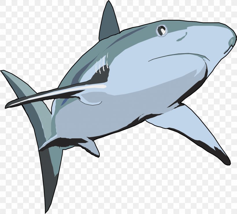 Shark Euclidean Vector Illustration, PNG, 2126x1914px, Shark, Blue Shark, Cartilaginous Fish, Designer, Dolphin Download Free