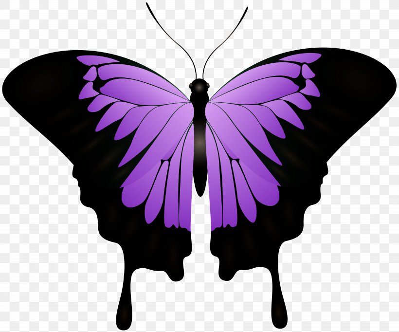 L'ombra Del Cuore. Black Moon Monarch Butterfly Dead Until Dark Author, PNG, 8000x6663px, Monarch Butterfly, Author, Brush Footed Butterfly, Butterfly, Charlaine Harris Download Free