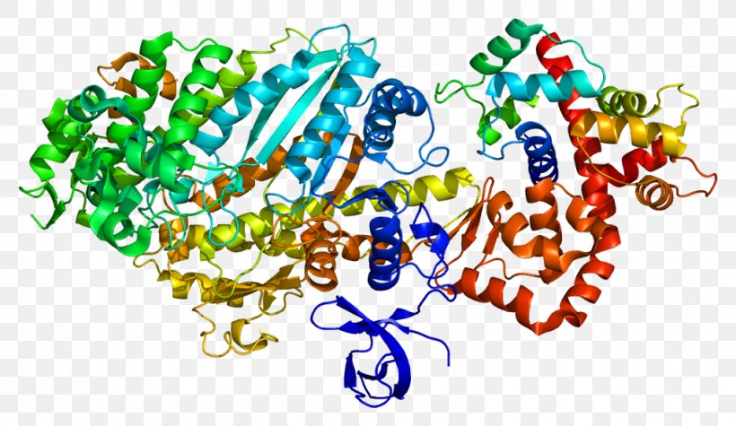 MYO6 Myosin Molecular Motor Vesicle Organelle, PNG, 1019x591px, Watercolor, Cartoon, Flower, Frame, Heart Download Free