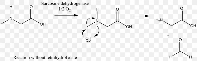 Sarcosine Dehydrogenase Enzyme Sarcosinemia Alanopine Dehydrogenase, PNG, 2102x657px, Sarcosine, Black And White, Catalysis, Dehydrogenase, Diagram Download Free