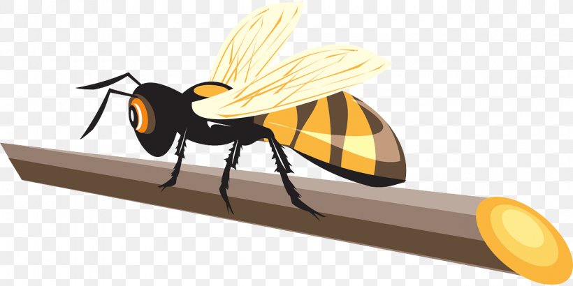Western Honey Bee Hornet Beetle, PNG, 1280x640px, Bee, Arthropod, Beetle, Entomophagy, Fly Download Free
