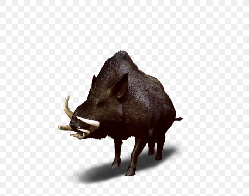Wild Boar The Witcher 3: Wild Hunt Peccary Wiedźmin, PNG, 580x645px, Wild Boar, Bestiary, Fauna, Game, Mammal Download Free