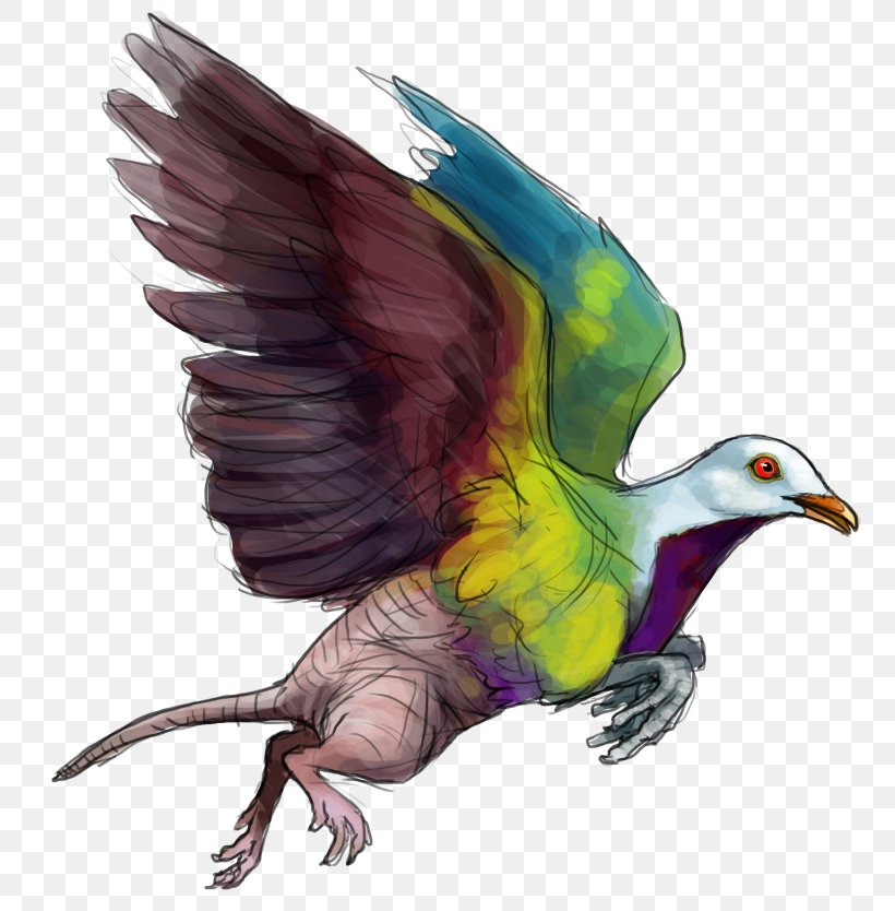 Beak Bird Of Prey Feather Illustration, PNG, 800x834px, Beak, Bird, Bird Of Prey, Fauna, Feather Download Free