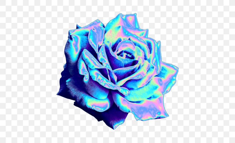 Blue Rose Garden Roses Tumblr Blog, PNG, 500x500px, Blue Rose, Blog, Blue, Cobalt Blue, Cut Flowers Download Free