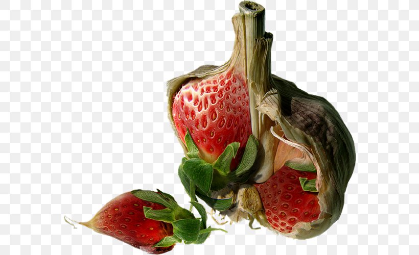 Fruit Strawberry Auglis Constellation Vegetable, PNG, 572x500px, Fruit, Auglis, Constellation, Food, Fruit Vegetable Download Free