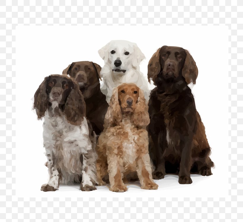 Golden Retriever Labrador Retriever Puppy Lulu's Dog Pawlour Dog Grooming, PNG, 750x750px, Golden Retriever, Bed And Breakfast, Breed Group Dog, Carnivoran, Companion Dog Download Free