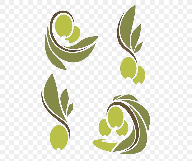 Olive Oil Olive Branch Olive Leaf, PNG, 600x688px, Olive, Auglis, Flora, Flower, Food Download Free