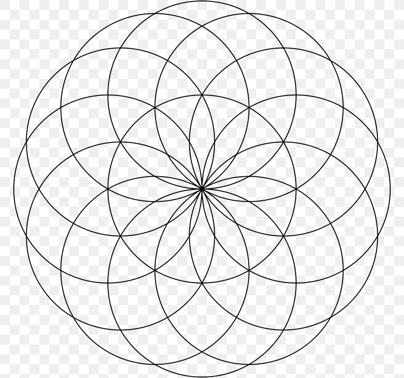 Torus Sacred Geometry