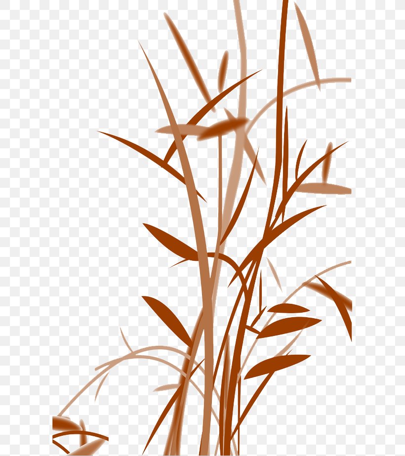 Bamboo Leaf Euclidean Vector, PNG, 607x923px, Bamboo, Bamboe, Branch, Commodity, Flora Download Free