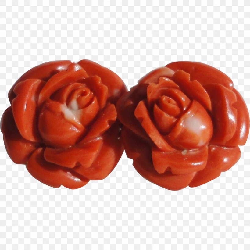 Clothing Accessories Bead Amber Jewellery Jewelry Design, PNG, 1238x1238px, Clothing Accessories, Amber, Bead, Fashion, Fashion Accessory Download Free