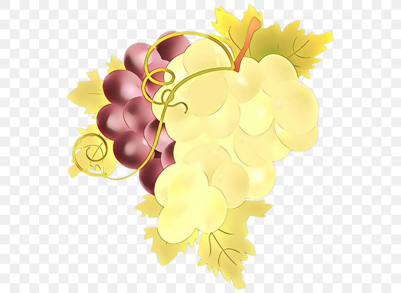 Grape Grapevine Family Yellow Leaf Vitis, PNG, 559x600px, Cartoon, Fruit, Grape, Grapevine Family, Leaf Download Free