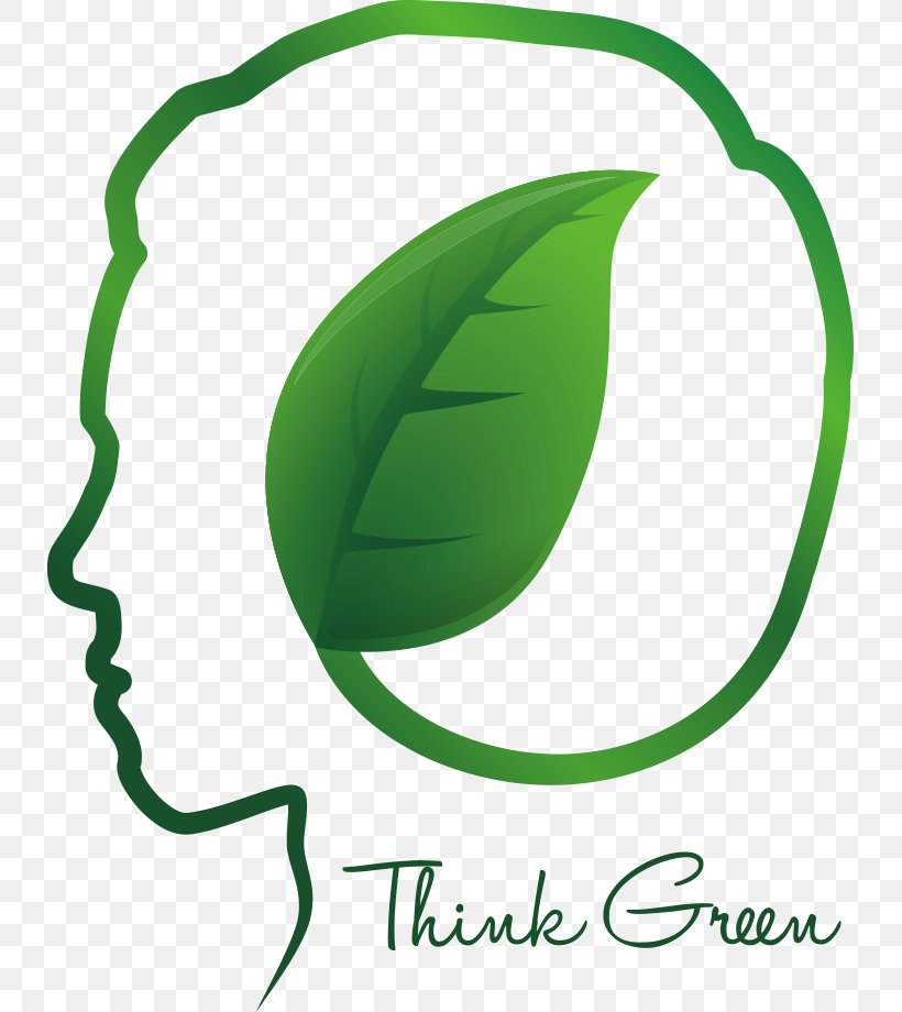 Green Human Brain Clip Art, PNG, 733x920px, Green, Agy, Area, Brand, Grass Download Free